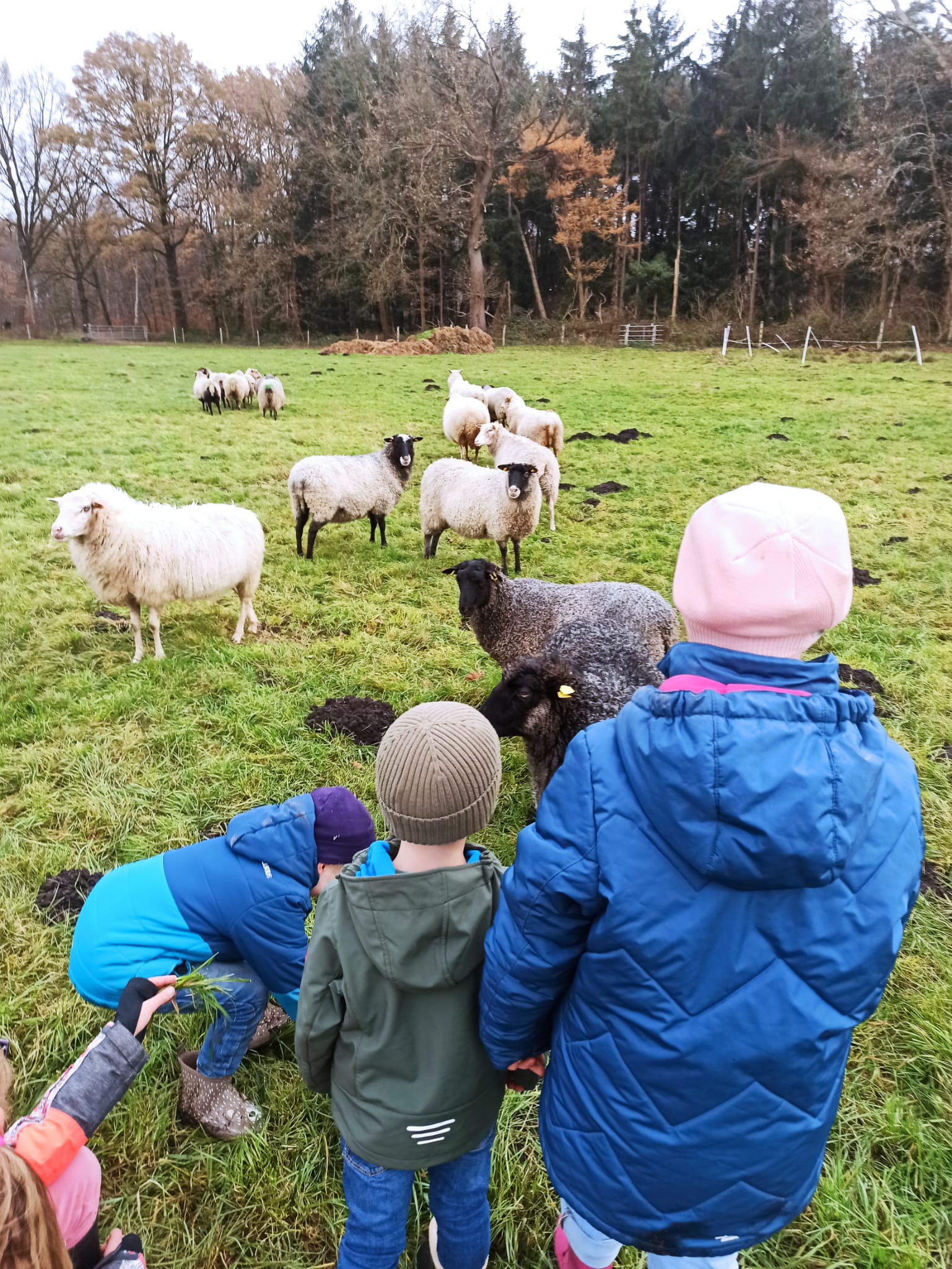 Einblick in das Seemannsland – Bild 2