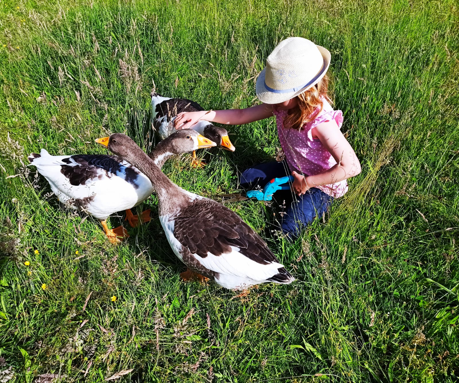 Jahreszeitengruppe im Seemannsland – Bild 1