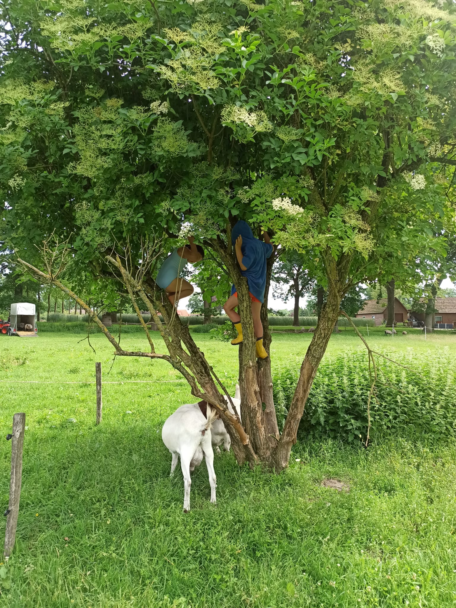 Jahreszeitengruppe im Seemannsland – Bild 13