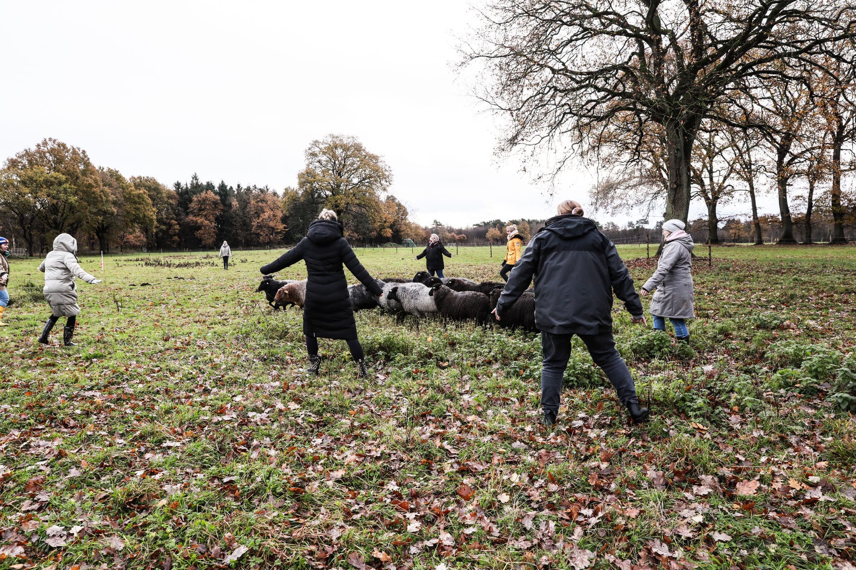 Teamtag im Seemannsland – Bild 14
