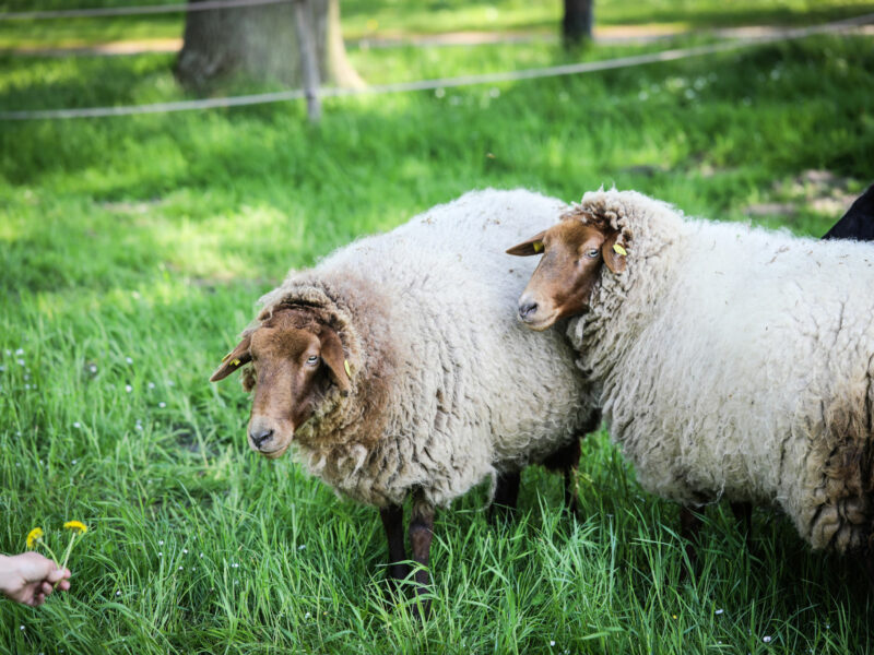 33 - 066A2557_20250802_164103_0000